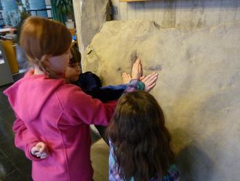 three young children placing their hands into a Diatryma track fossil