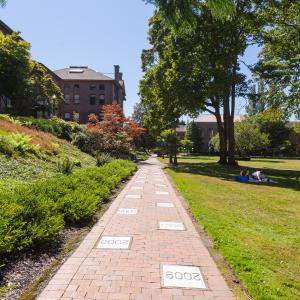 red brick path through green lawn and trees