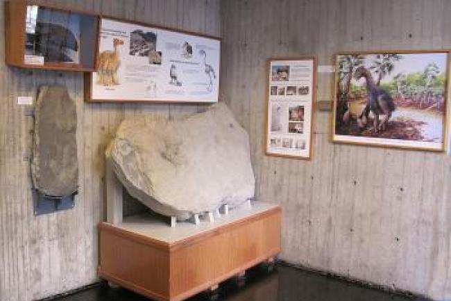 Giant fossil piece displayed in corner with informational board above